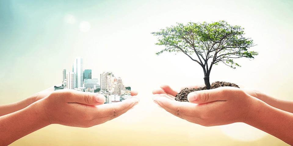 Ecologisch
